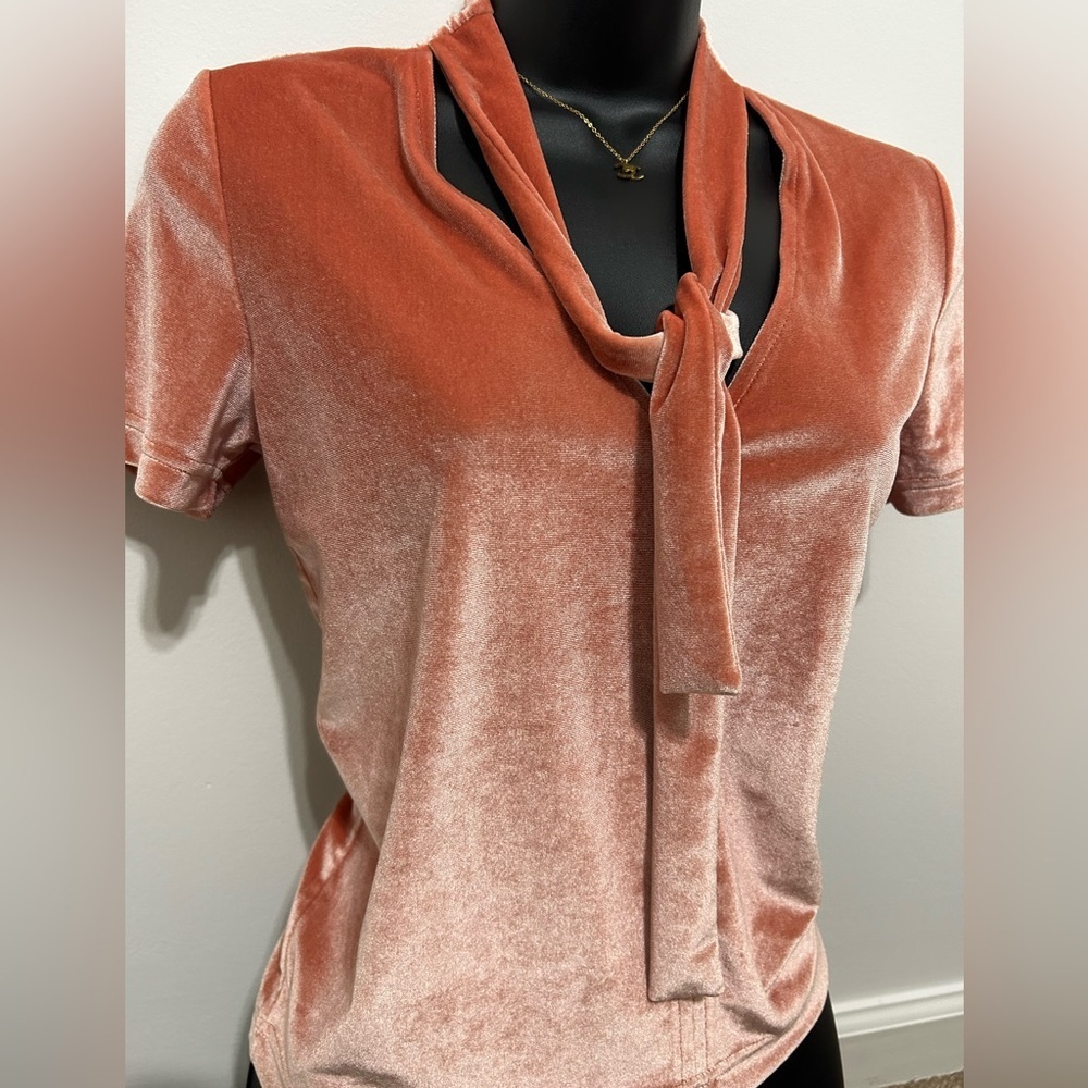 Madewell Coral Velvet Tie-Up Top - Picture 3 of 4